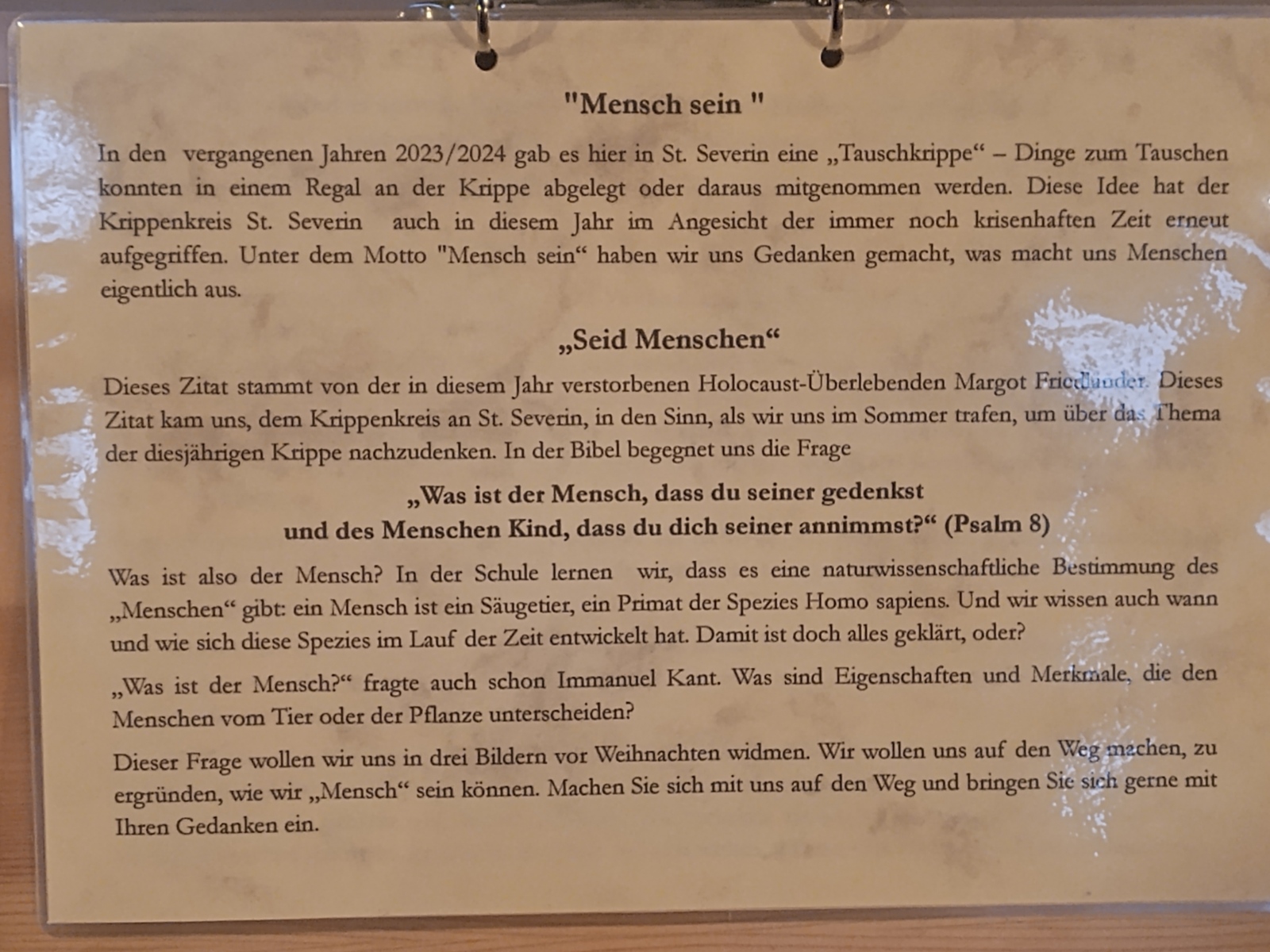 1. Advent 2025 - Krippe in St. Severin (c) MR.Garnies