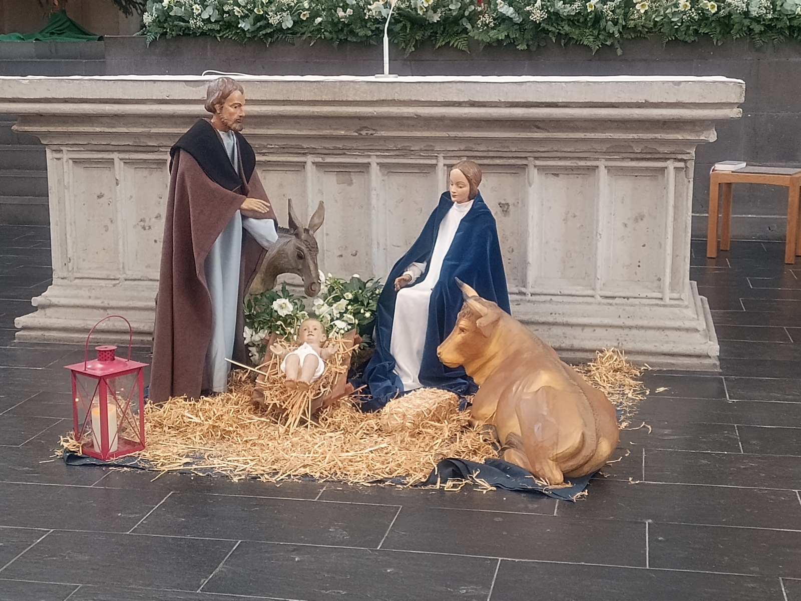 Weihnachten - Krippe in St. Severin (c) MR.Garnies