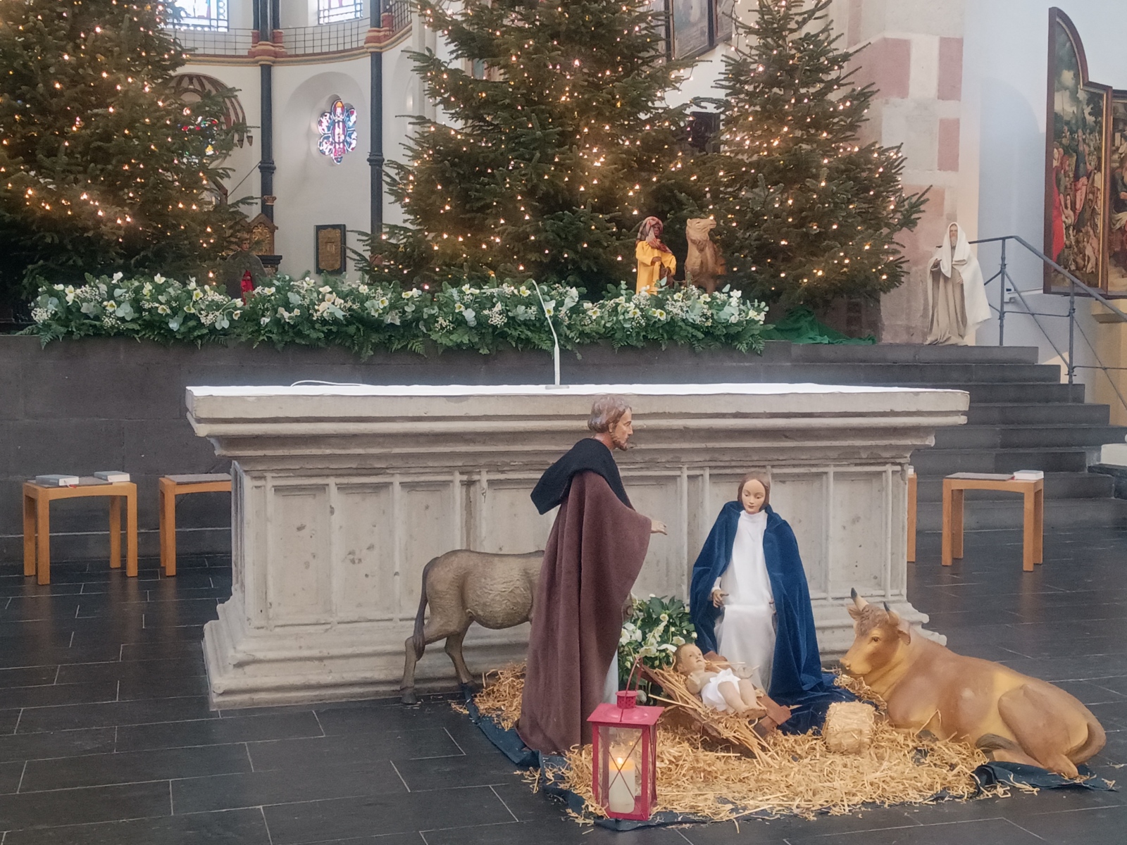 Weihnachten - Krippe in St. Severin (c) MR.Garnies