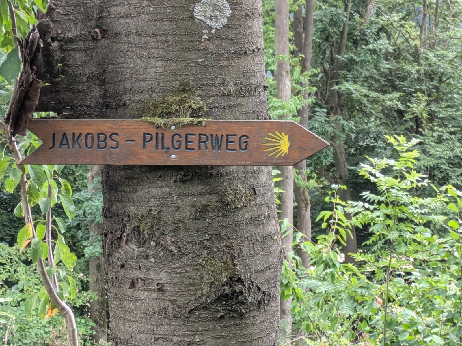 Schild am Jakobs-Pilgerweg (c) W. Oslender