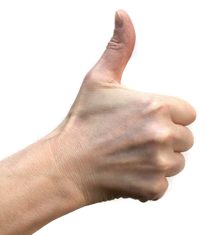 IMG_8208 (c) SilviaBins