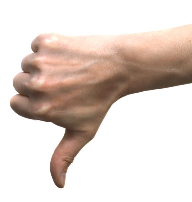 IMG_8217 (c) SilviaBins